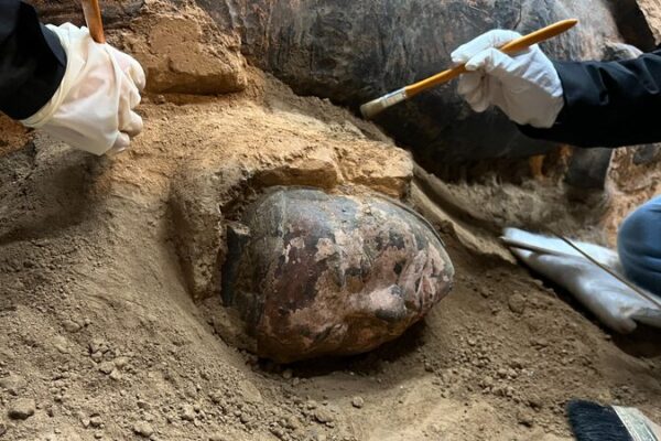 Celebrating 50 Years: The Terracotta Warriors Unveiled! 🎉 In pictures: 50th Year of Terracotta Warriors Excavation