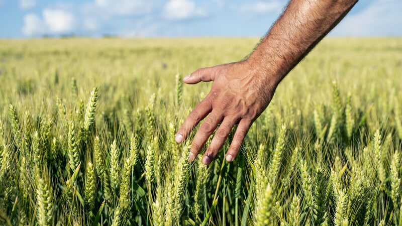 Income_of_Chinas_rural_residents_soars_over_the_past_decade - Namaste Headlines Income of China's rural residents soars over the past decade