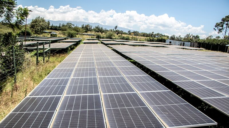 Kenya_plans_to_establish_carbon_market - Namaste Headlines Kenya plans to establish carbon market