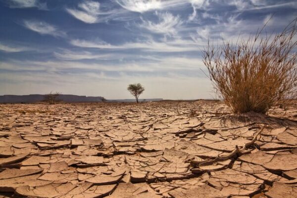 Funding Gap Holding Back Climate Action in Low-Income Countries 🌍💔 Lack of funding limits climate efforts in lower-income nations, study