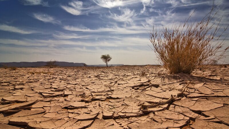 Lack of funding limits climate efforts in lower-income nations, study