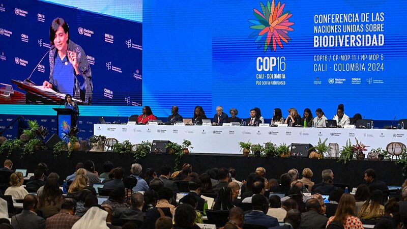 Leaders urge world to pay up to save nature as COP16 talks open