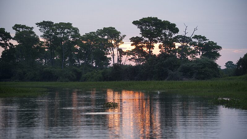 Methane_from_tropical_wetlands_is_surging_threatening_climate_plans - Namaste Headlines Methane from tropical wetlands is surging, threatening climate plans