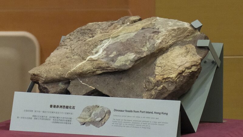 Million-year-old_dinosaur_fossils_found_in_Hong_Kong_for_first_time - Namaste Headlines Million-year-old dinosaur fossils found in Hong Kong for first time