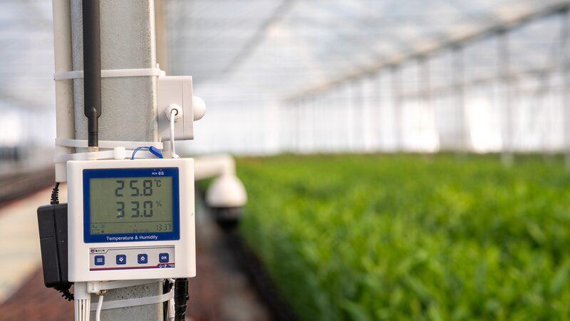 Modernized_agriculture_drives_rural_revitalization_in_China - Namaste Headlines Modernized agriculture drives rural revitalization in China