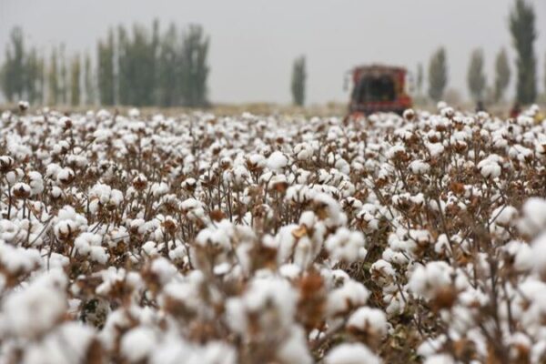 Multinationals should not be pawns of Western political dominance