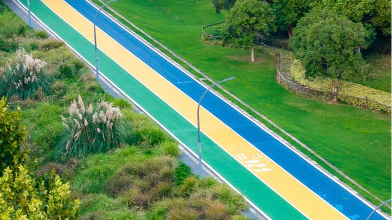 Nanjing_on_the_move_Exploring_the_sports_culture_through_city_jogging - Namaste Headlines Nanjing on the move: Exploring the sports culture through city jogging