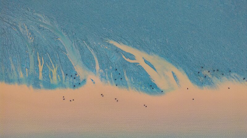 Nature's dance unfolds as birds soar above river's tides in Zhejiang