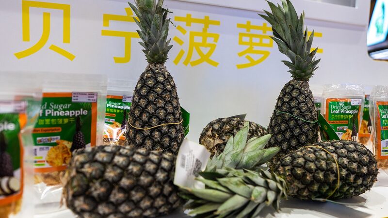 Natures_gifts_from_Africa_at_7th_China_International_Import_Expo - Namaste Headlines Nature's gifts from Africa at 7th China International Import Expo