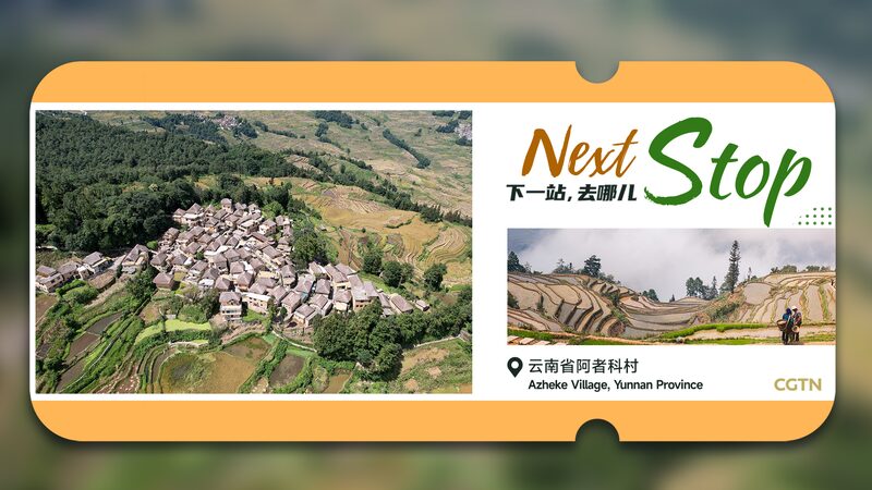 Next_Stop_Mushroom_cottages_surrounded_by_cascading_rice_terraces - Namaste Headlines Next Stop: 'Mushroom cottages' surrounded by cascading rice terraces