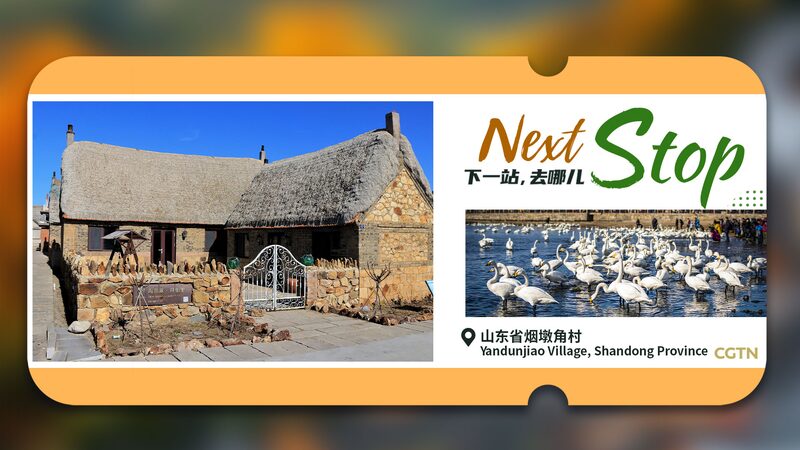 Next_Stop_Yandunjiao_a_picturesque_coastal_gem_of_history_and_nature - Namaste Headlines Next Stop: Yandunjiao, a picturesque coastal gem of history and nature