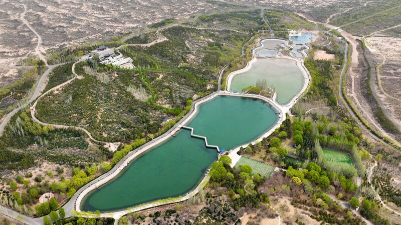 Ningxia's green evolution: A model for combating desertification