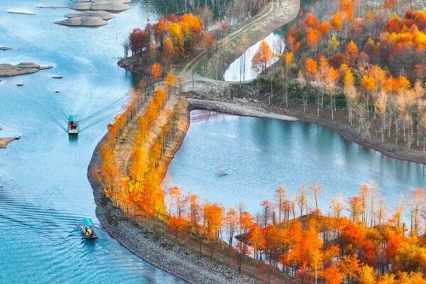 🌳 Discover the Stunning Cypress Forests of East China’s Wetlands! Picturesque cypress forests adorn wetland in east China