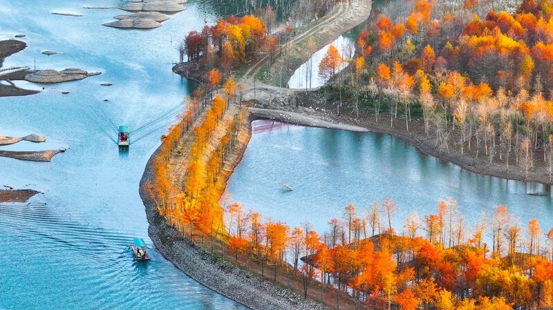 Picturesque cypress forests adorn wetland in east China