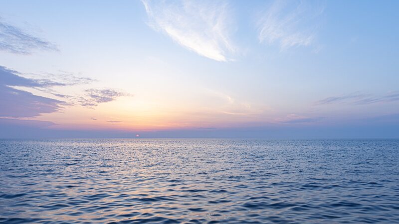 Report_details_fossil_fuel_threat_to_Amazon_of_the_seas - Namaste Headlines Report details fossil fuel threat to 'Amazon of the seas'