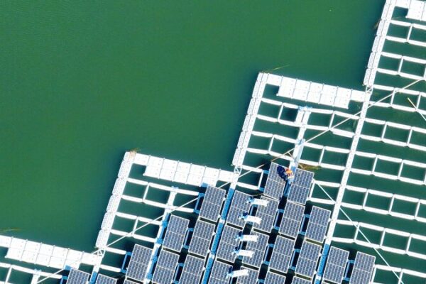 Russian official lauds China's efforts in addressing climate change