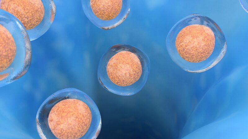 Scientists_announce_progress_toward_ambitious_atlas_of_human_cells - Namaste Headlines Scientists announce progress toward ambitious atlas of human cells