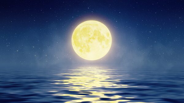 Sharing_the_moonlight_far_apart - Namaste Headlines Sharing the moonlight far apart