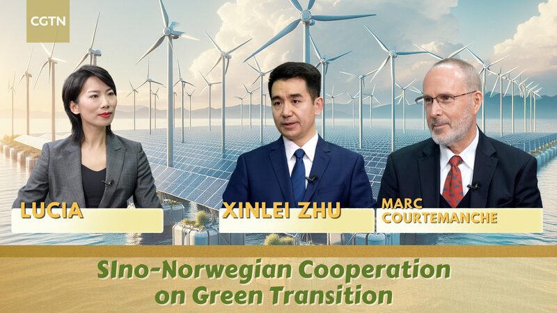 Sino-Norwegian cooperation on green transition video poster