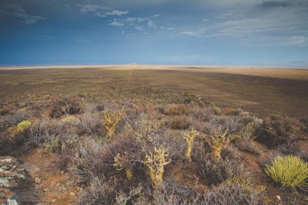 South Africa pushes for stronger climate finance at COP29