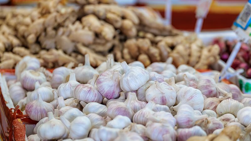 Spokesperson_Garlic_not_imagined_as_a_major_threat_to_the_US - Namaste Headlines Spokesperson: Garlic not imagined as a major threat to the U.S.