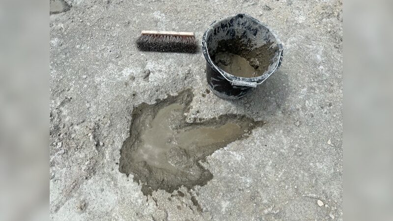 Surreal_Biggest_dinosaur_footprint_site_in_UK_unearthed_poster - Namaste Headlines Surreal! Biggest dinosaur footprint site in UK unearthed video poster