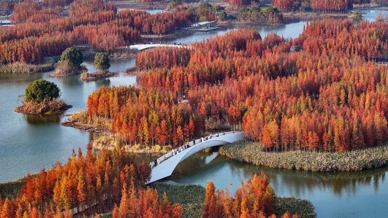 Symposium_held_to_study_Xis_discourses_on_natural_resources_work - Namaste Headlines Symposium held to study Xi's discourses on natural resources work