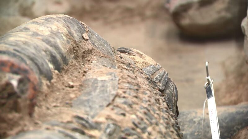 Terracotta_warriors_new_discoveries_unveil_Qin_chariot_troop_structure - Namaste Headlines Terracotta warriors new discoveries unveil Qin chariot troop structure