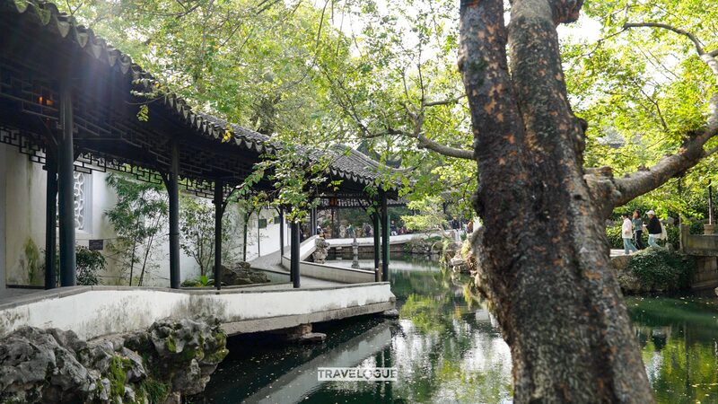 This_walkway_is_wonky_for_a_good_reason - Namaste Headlines This walkway is wonky for a good reason