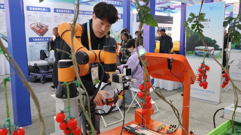 Tomato-picking robot stands out at agricultural hi-tech fair in China