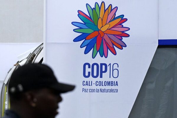 UN Chief Urges Massive Funding to Protect Nature 🌿 UN chief seeks 'significant' funding at summit to save nature