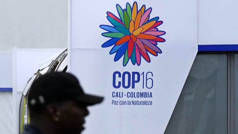 UN_chief_seeks_significant_funding_at_summit_to_save_nature - Namaste Headlines UN chief seeks 'significant' funding at summit to save nature