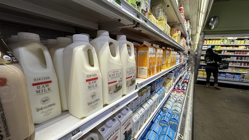 WHO wants bird flu surveillance stepped up