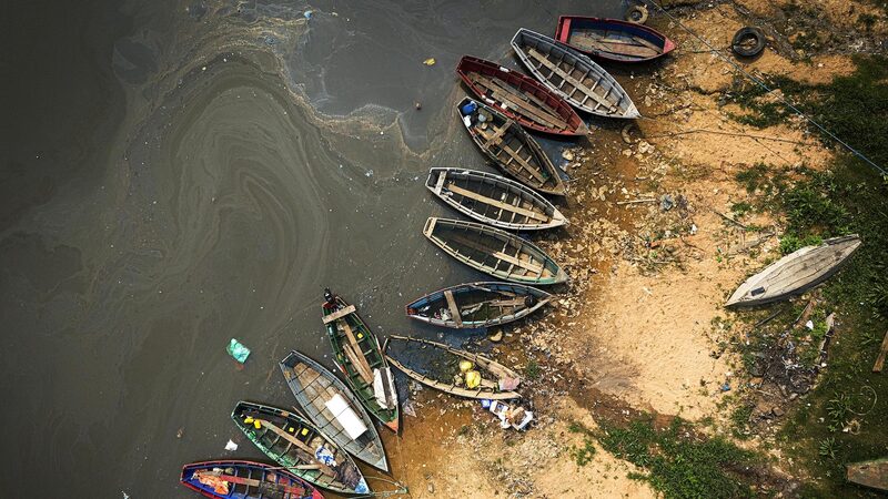 Warm_extremes_undermine_ecosystem_carbon_sequestration - Namaste Headlines Warm extremes undermine ecosystem carbon sequestration