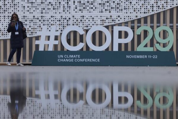 What’s Cooking for COP29? 🌎🔥 Get the Lowdown! What's on the COP29 agenda?