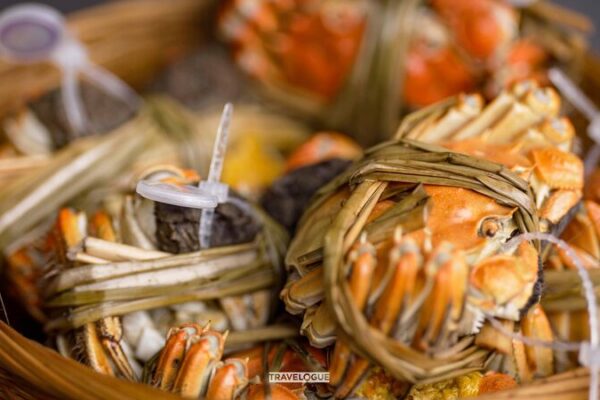 Why China’s Foodies Are Obsessed with Hairy Crab 🦀 Why do foodies in China love hairy crab?