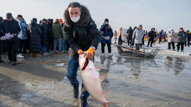 Winter fishing festival brims with joy at Jilin's Chagan Lake