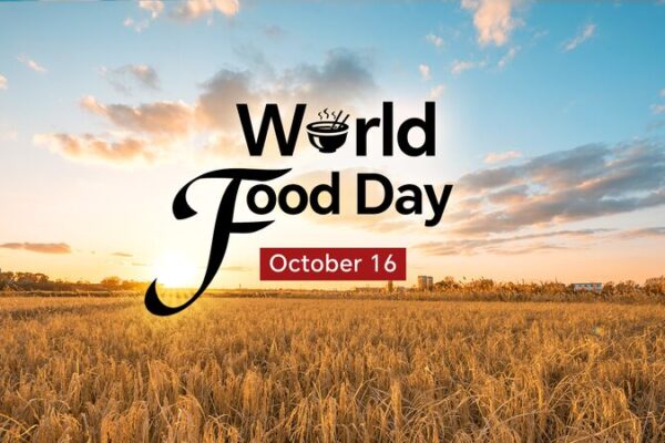 🌱 From Salty Soils to Green Fields: China’s Agricultural Revolution 🌾 World Food Day: Turning salt-rich soils into fertile soils in China