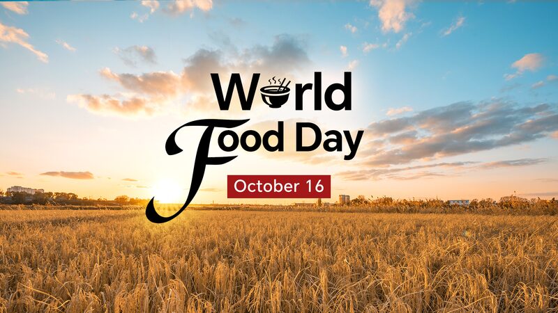 World_Food_Day_Turning_salt-rich_soilsinto_fertile_soils_in_China - Namaste Headlines World Food Day: Turning salt-rich soils into fertile soils in China