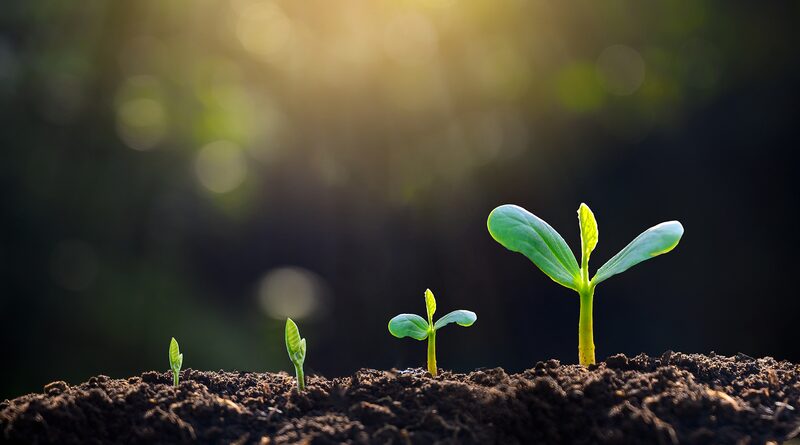World_Soil_Day_Sampling_of_the_3rd_national_soil_survey_completed - Namaste Headlines World Soil Day: Sampling of the 3rd national soil survey completed