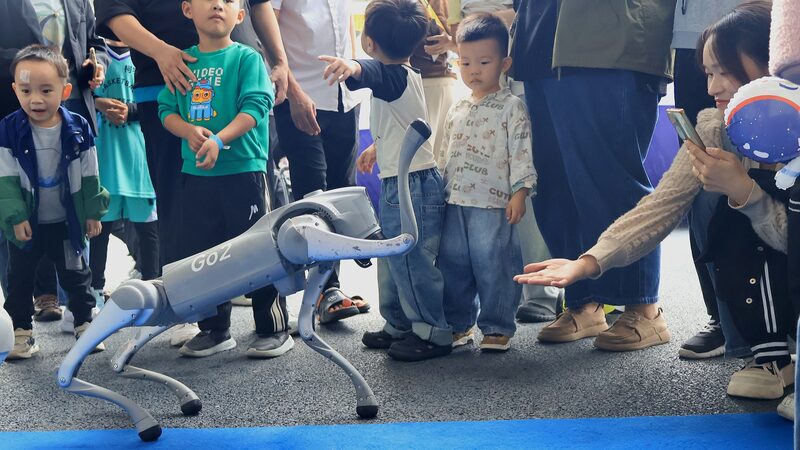 World_Young_Scientist_Summit_held_in_E_China - Namaste Headlines World Young Scientist Summit held in E China