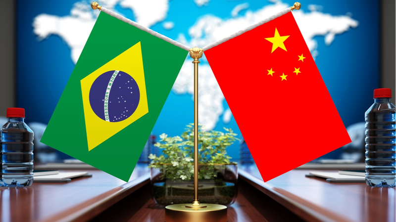 Xi Jinping holds large-group talks with Brazilian president