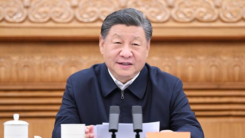 Xi Jinping stresses advancing high-quality Belt and Road cooperation