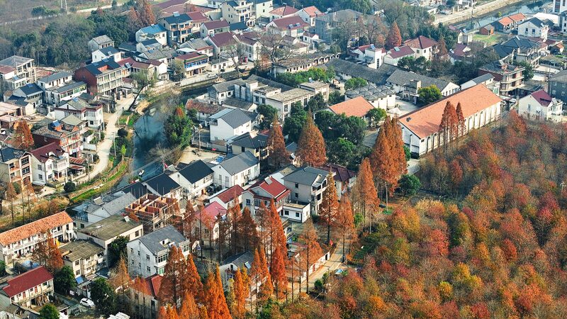 Xi urges deepening rural reform, building up strength in agriculture