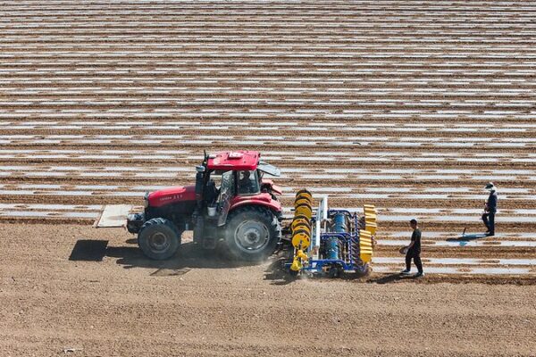 Xinjiang Cotton Industry Calls for Fair Treatment 🌿 Xinjiang cotton industry calls for objective treatment of its cotton