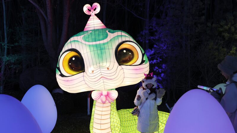 Yinchuan_lantern_festival_brightens_Year_of_the_Snake - Namaste Headlines Yinchuan lantern festival brightens Year of the Snake