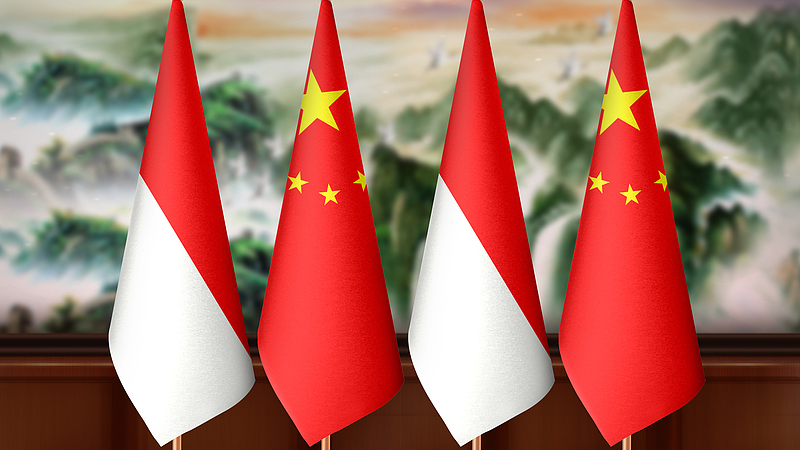 75_Years_Strong__Indonesia_and_the_Chinese_mainland_Boost_South_South_Ties
