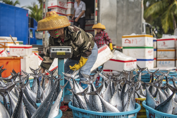 Hainan’s Spring Fishing Bonanza Hainan’s Spring Fishing Bonanza