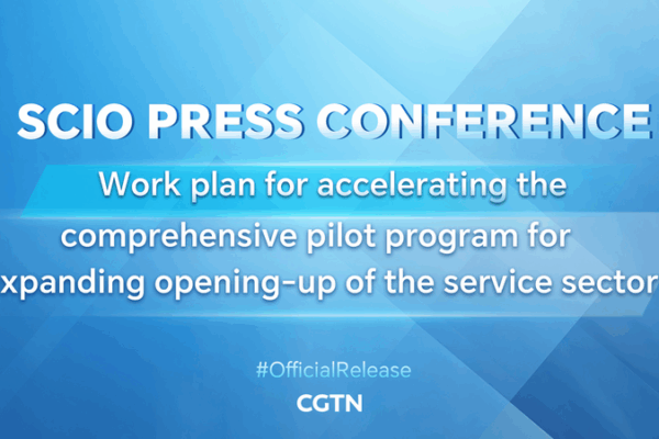 Accelerating Service Sector: New Pilot Work Plan Unveiled Accelerating_Service_Sector__New_Pilot_Work_Plan_Unveiled video poster