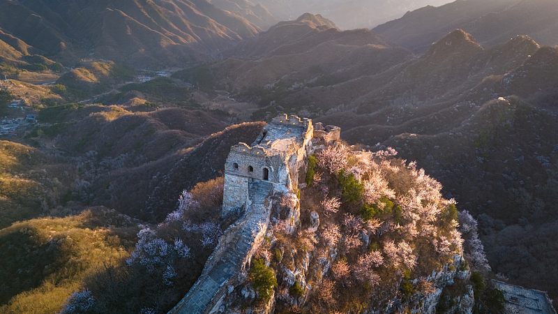 Apricot_Blossoms_Transform_Jiankou__A_Springtime_Wonder